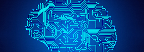 Menschliches Fehlverhalten bei der Geldanlage