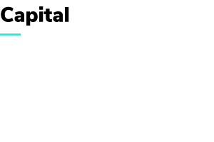 Asset PressLogo Capital