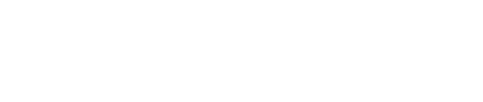 Vanguard Logo