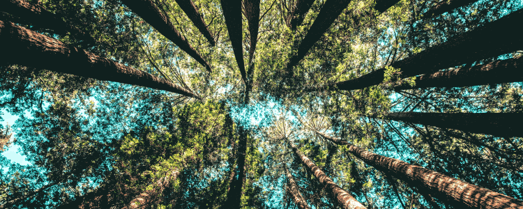 Asset Blog ESG-Changes 375